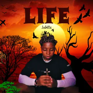 Jabillz - life album cover